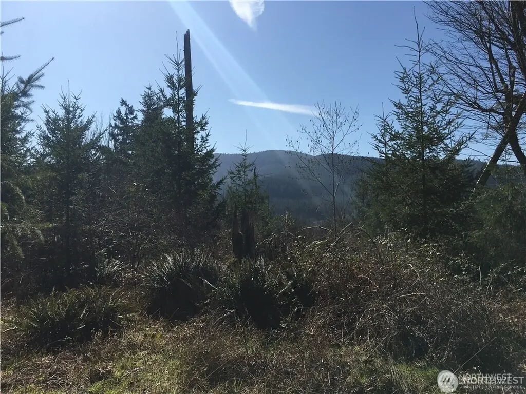0 Summit Lake Road NW Olympia WA 98502