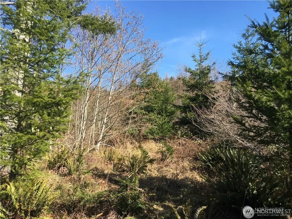 0 Summit Lake Road NW Olympia WA 98502