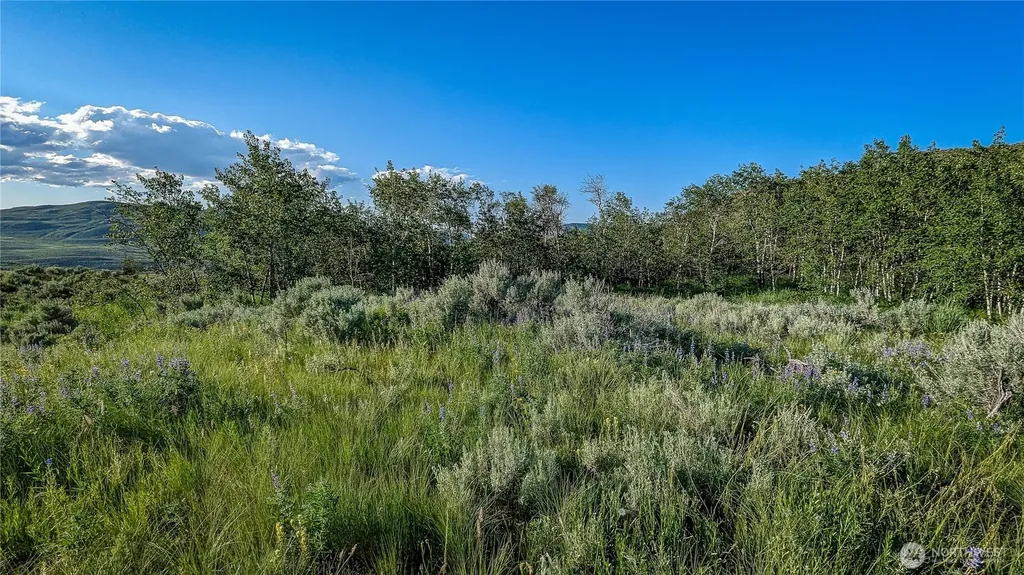 0 Ellemeham Mountain Road Oroville WA 98844