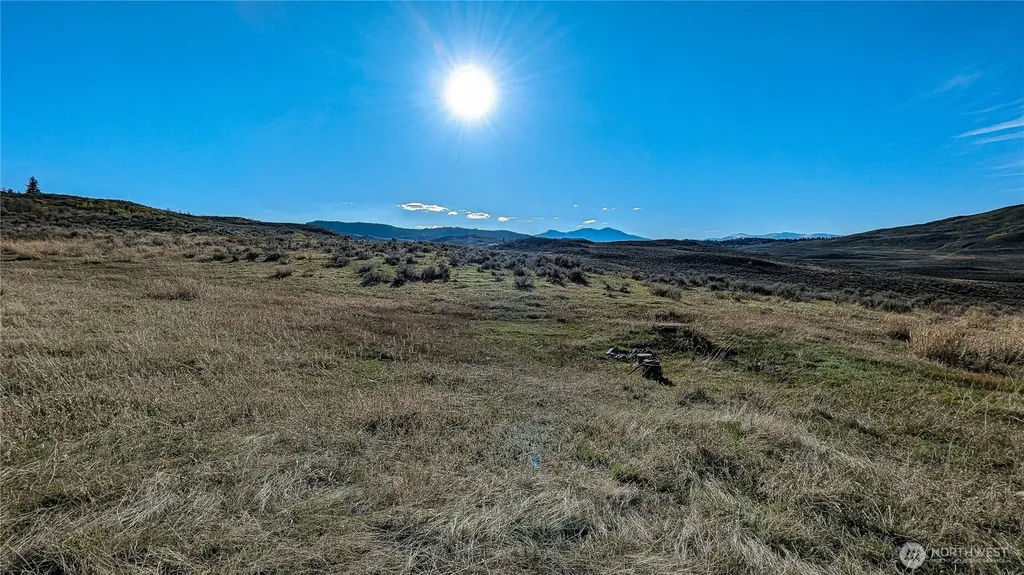 0 Ellemeham Mountain Road Oroville WA 98844