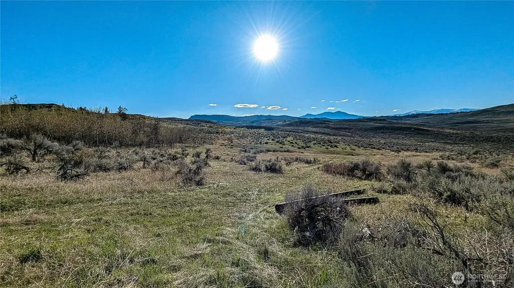 0 Ellemeham Mountain Road Oroville WA 98844