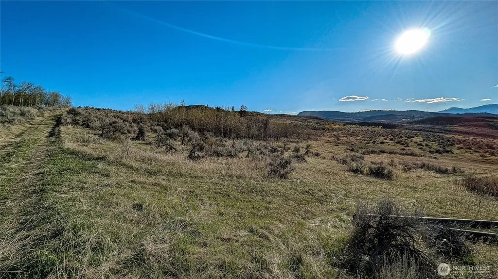 0 Ellemeham Mountain Road Oroville WA 98844