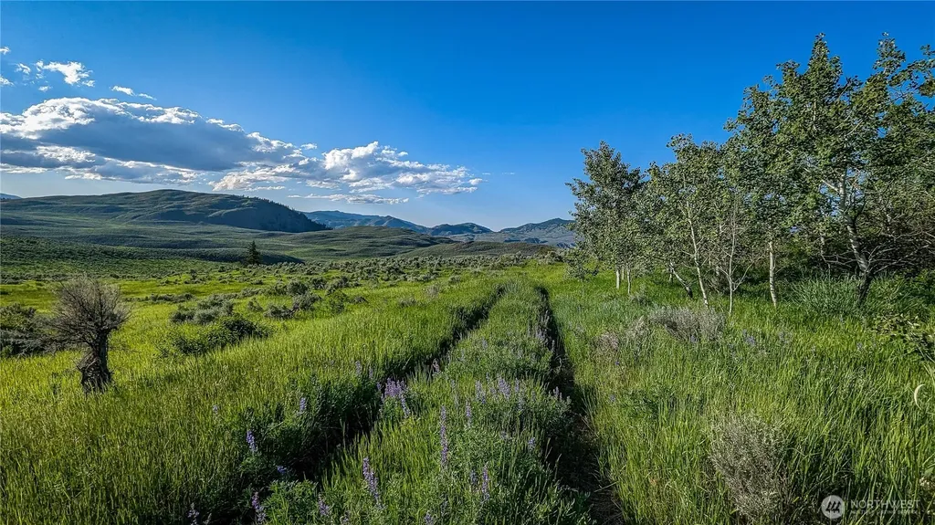 0 Ellemeham Mountain Road Oroville WA 98844