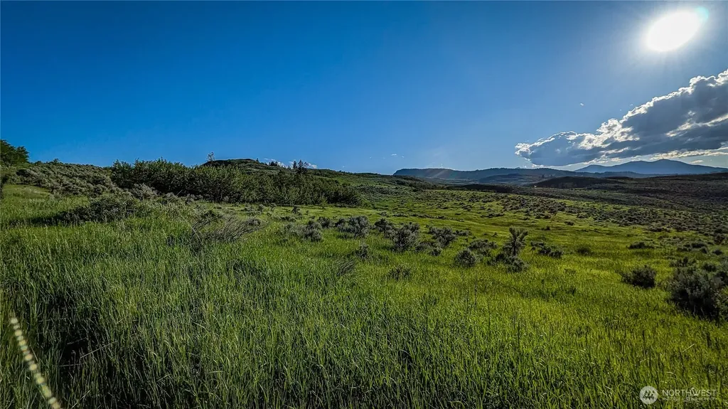 0 Ellemeham Mountain Road Oroville WA 98844
