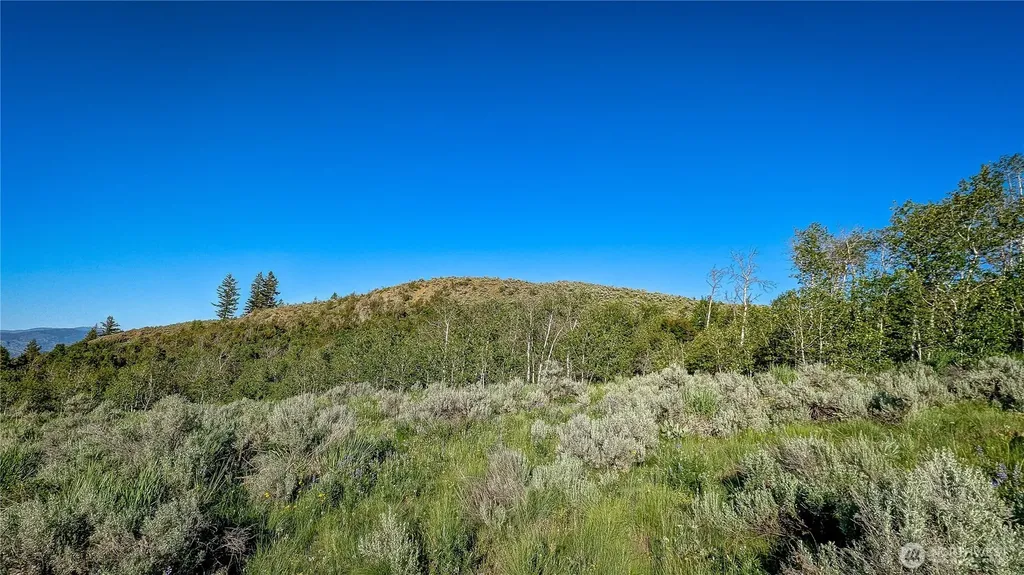 0 Ellemeham Mountain Road Oroville WA 98844