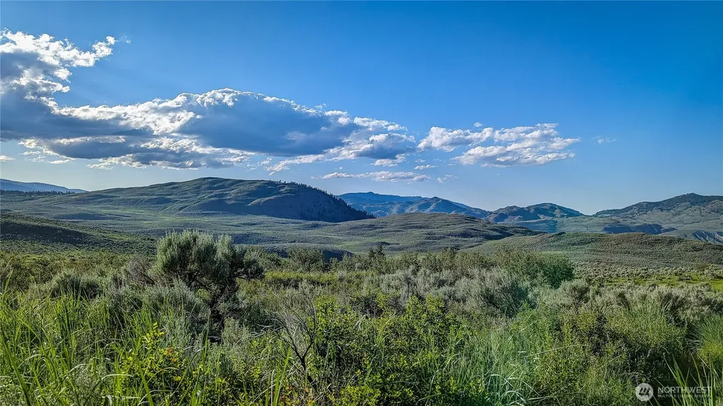 0 Ellemeham Mountain Road Oroville WA 98844