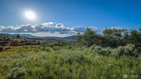 0 Ellemeham Mountain Road Oroville WA 98844
