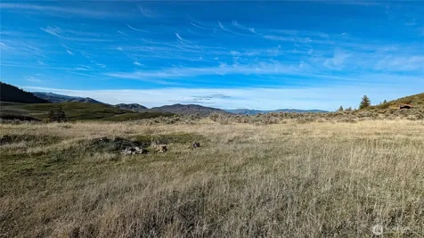 0 Ellemeham Mountain Road Oroville WA 98844