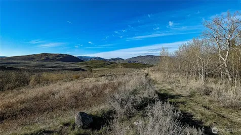 0 Ellemeham Mountain Road Oroville WA 98844