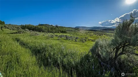 0 Ellemeham Mountain Road Oroville WA 98844