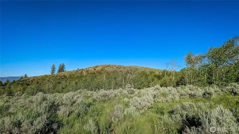 0 Ellemeham Mountain Road Oroville WA 98844