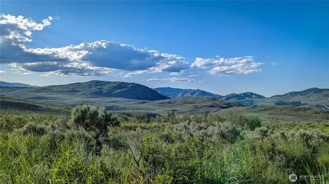 0 Ellemeham Mountain Road Oroville WA 98844