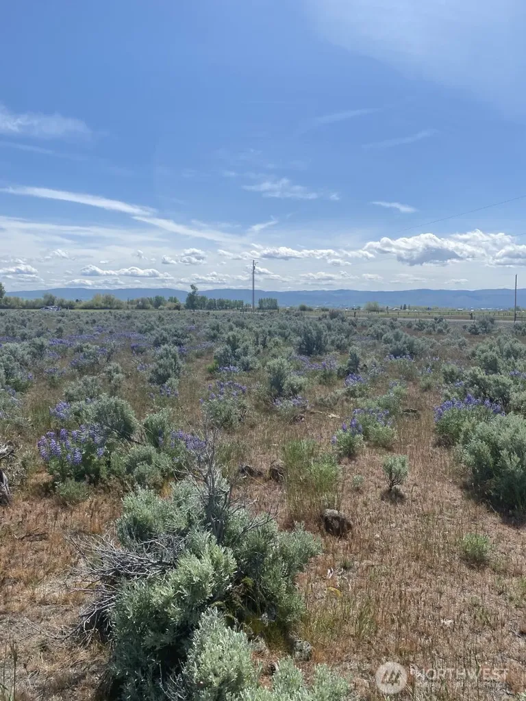 3 Lester Road Ellensburg WA 98926