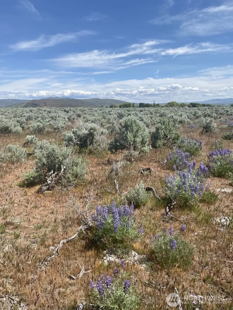3 Lester Road Ellensburg WA 98926