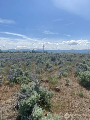 3 Lester Road Ellensburg WA 98926