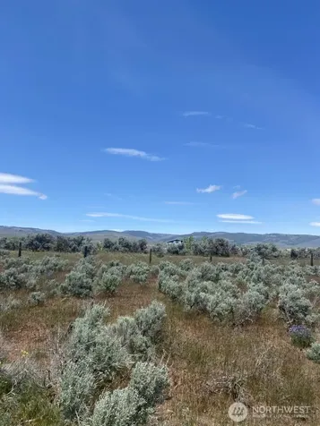 3 Lester Road Ellensburg WA 98926