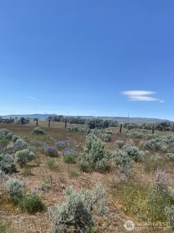 3 Lester Road Ellensburg WA 98926