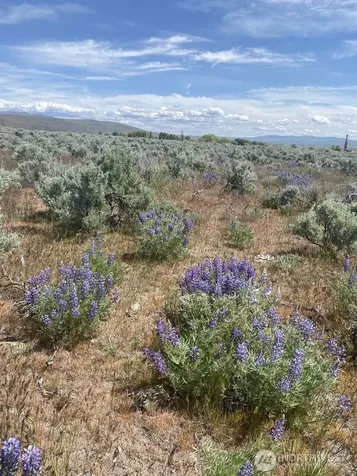 3 Lester Road Ellensburg WA 98926