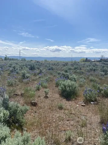 3 Lester Road Ellensburg WA 98926