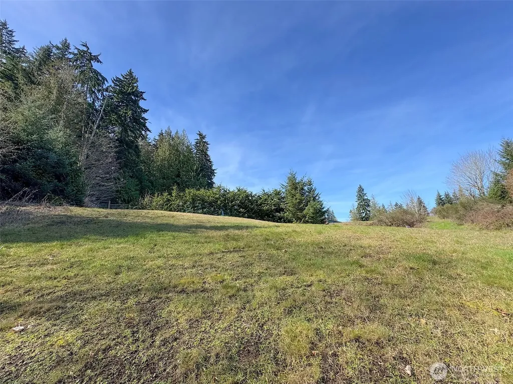 0 Delguzzi Drive Port Angeles WA 98362