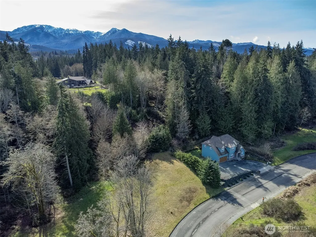 0 Delguzzi Drive Port Angeles WA 98362