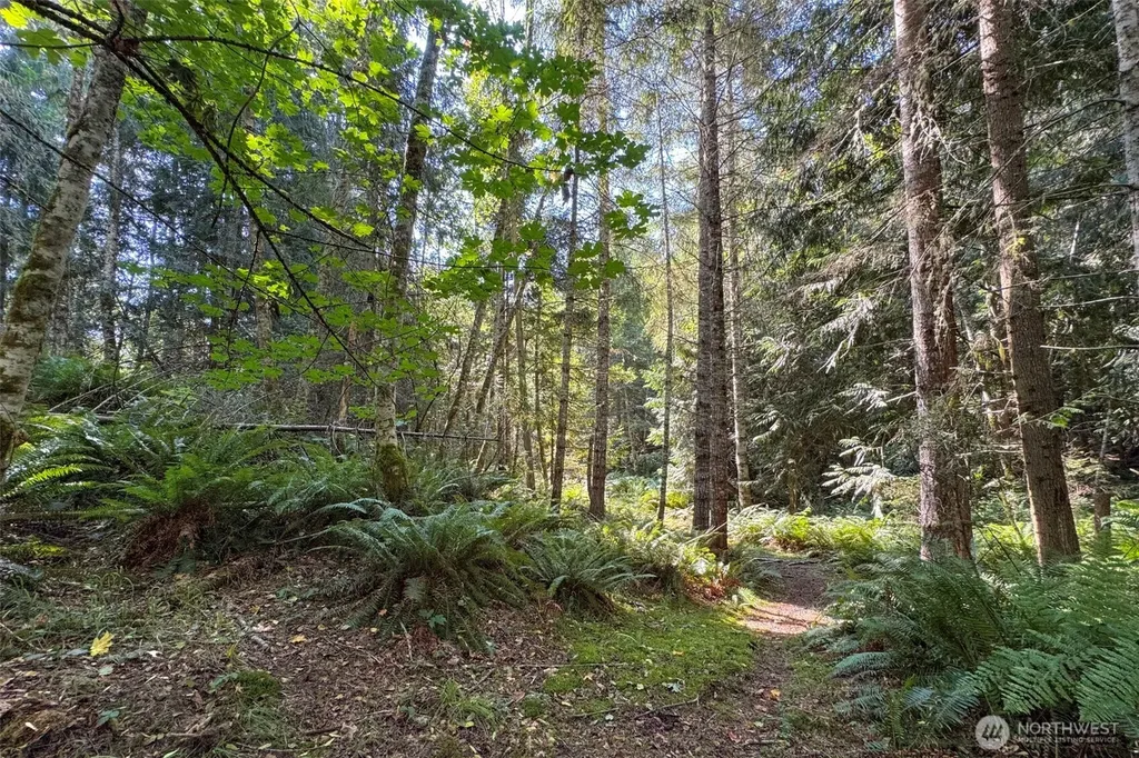 3634 Deer Park Road Port Angeles WA 98362
