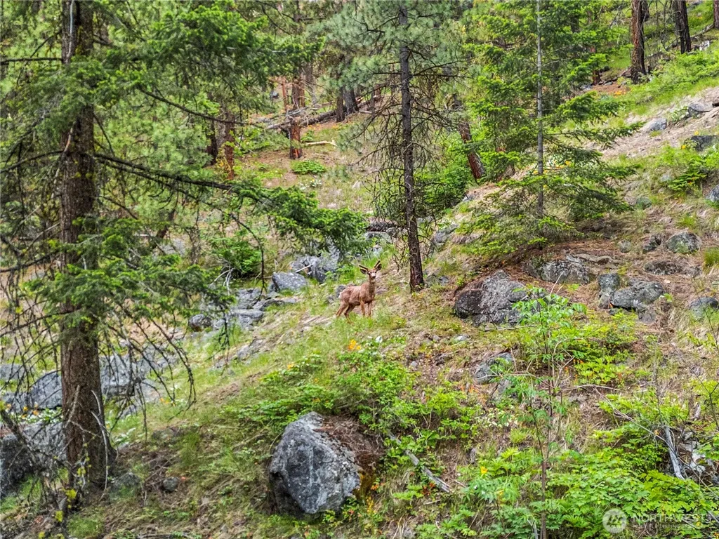 3720 Icicle Rd Fs 7600 Road Leavenworth WA 98826