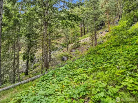 3720 Icicle Rd Fs 7600 Road Leavenworth WA 98826