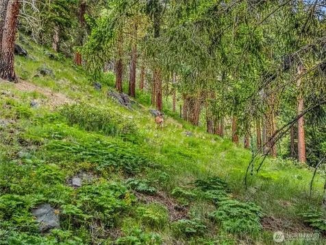 3720 Icicle Rd Fs 7600 Road Leavenworth WA 98826