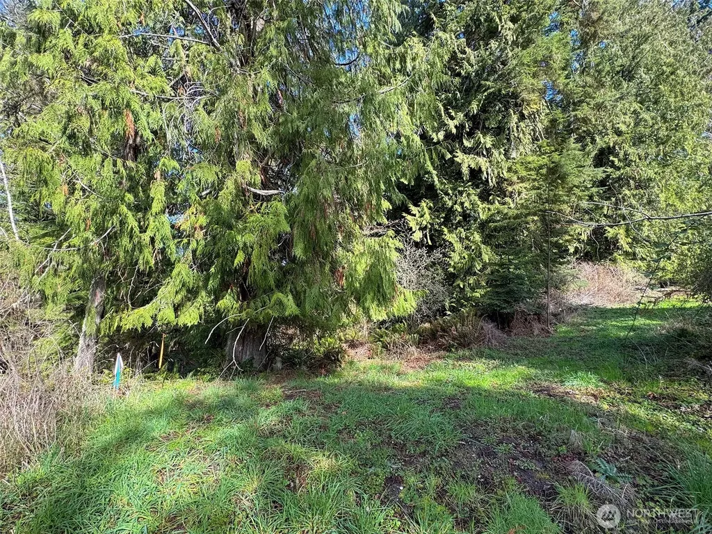 2211 Lindberg Road Port Angeles WA 98362