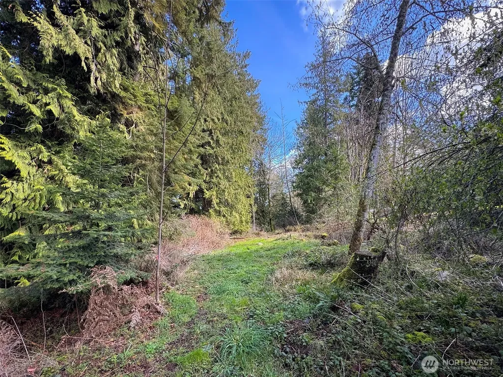 2211 Lindberg Road Port Angeles WA 98362