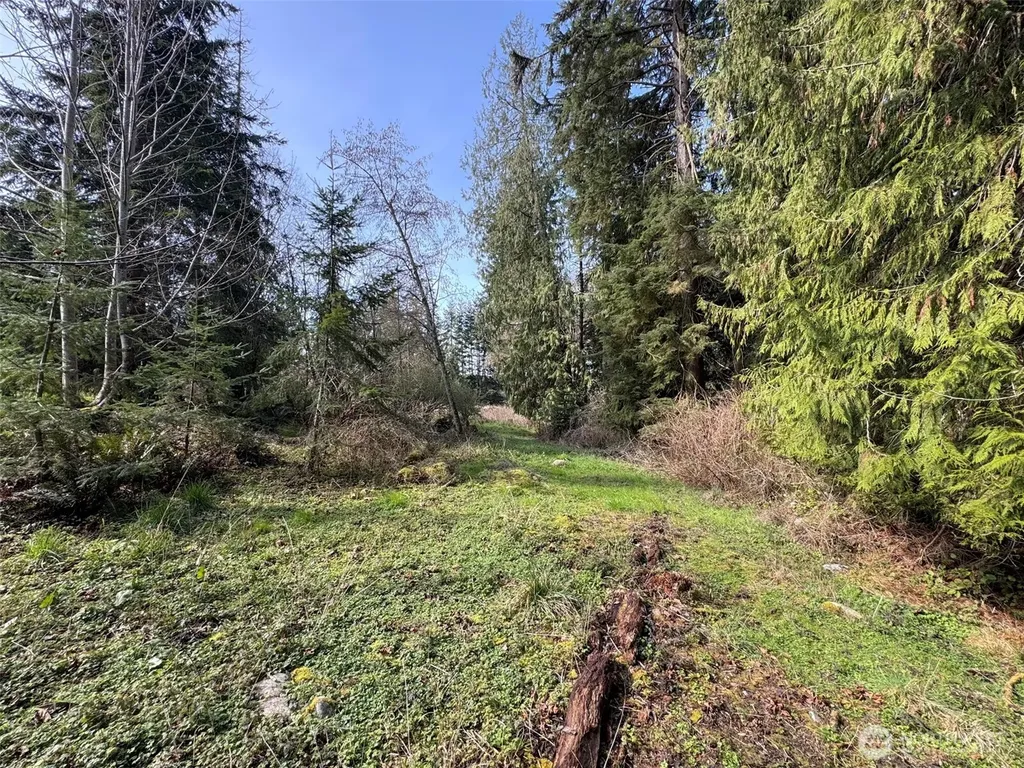 2211 Lindberg Road Port Angeles WA 98362