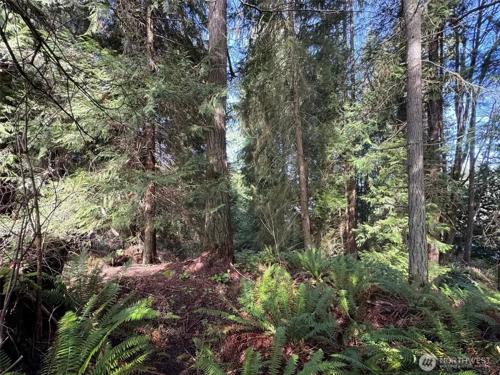 2211 Lindberg Road Port Angeles WA 98362