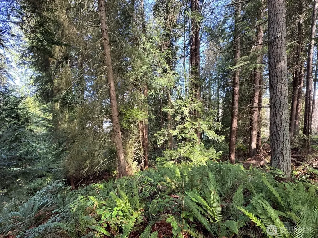 2211 Lindberg Road Port Angeles WA 98362