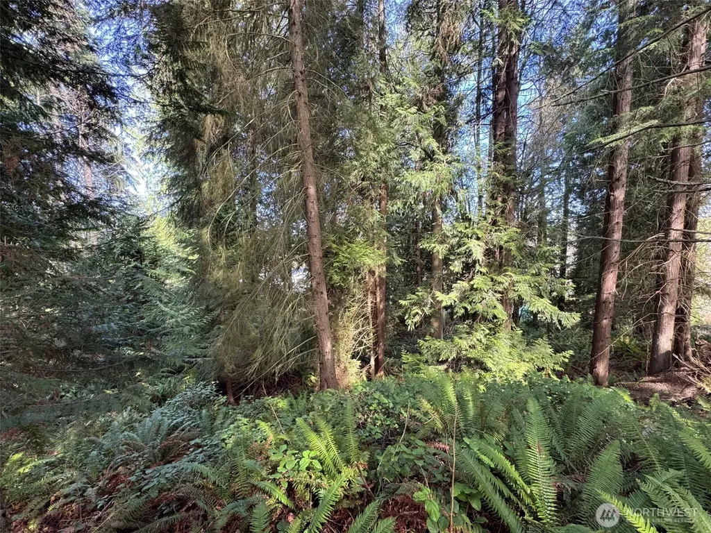 2211 Lindberg Road Port Angeles WA 98362