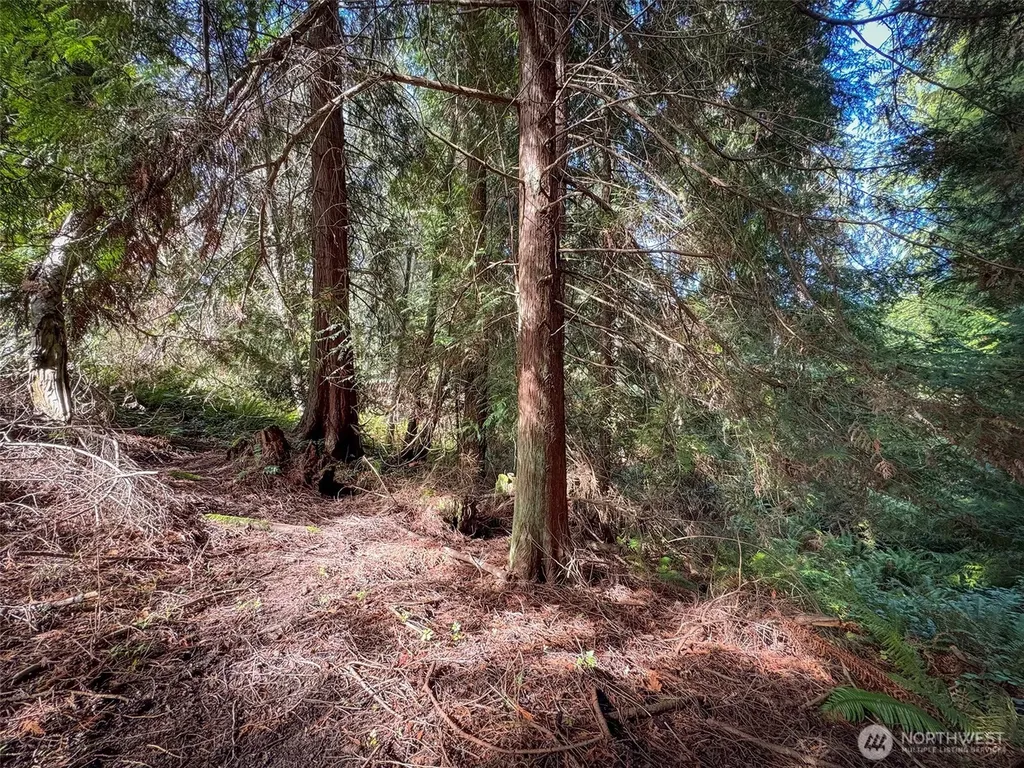 2211 Lindberg Road Port Angeles WA 98362