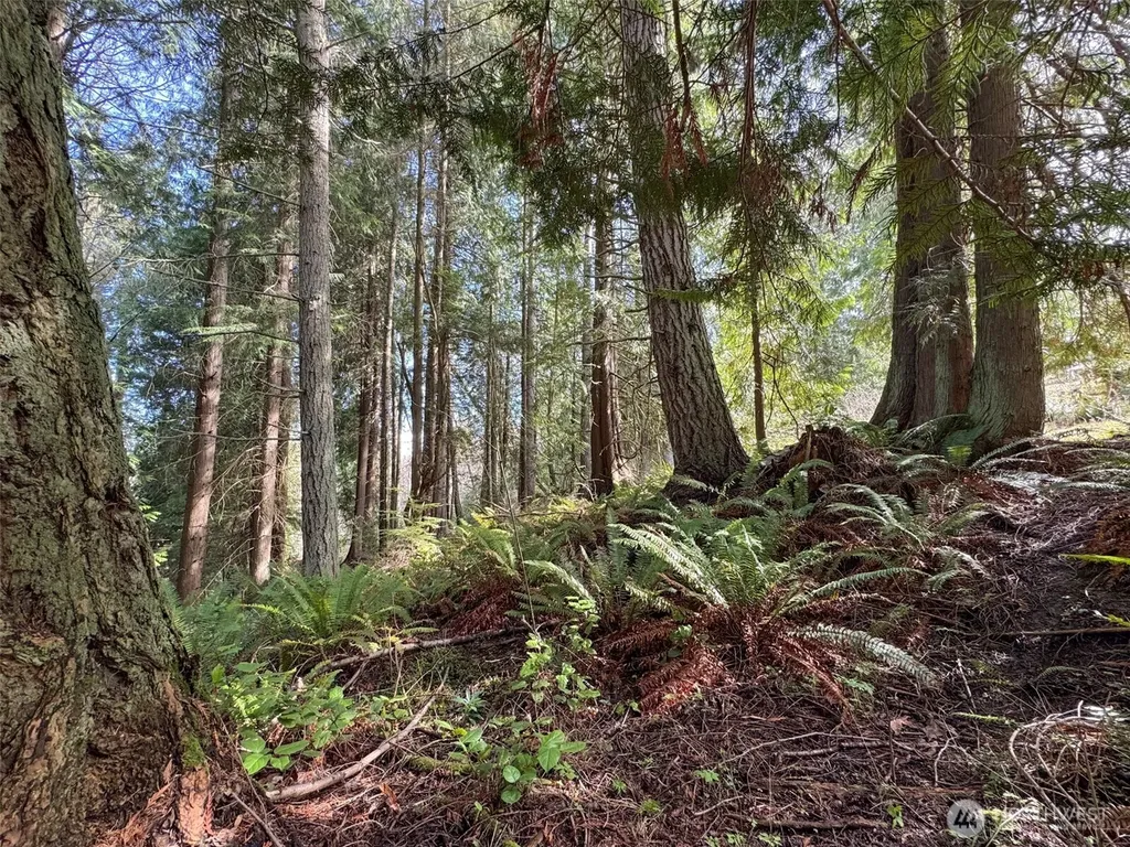 2211 Lindberg Road Port Angeles WA 98362