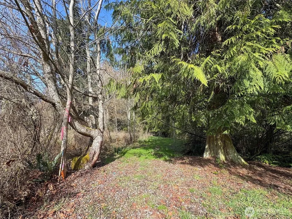 2211 Lindberg Road Port Angeles WA 98362