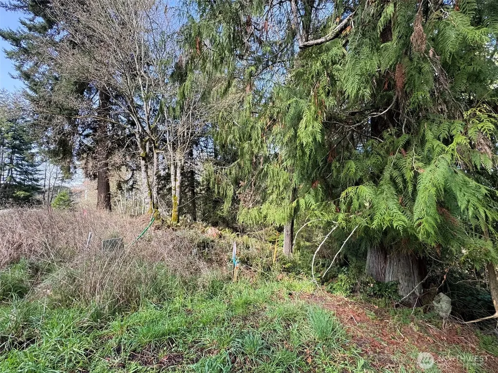 2211 Lindberg Road Port Angeles WA 98362