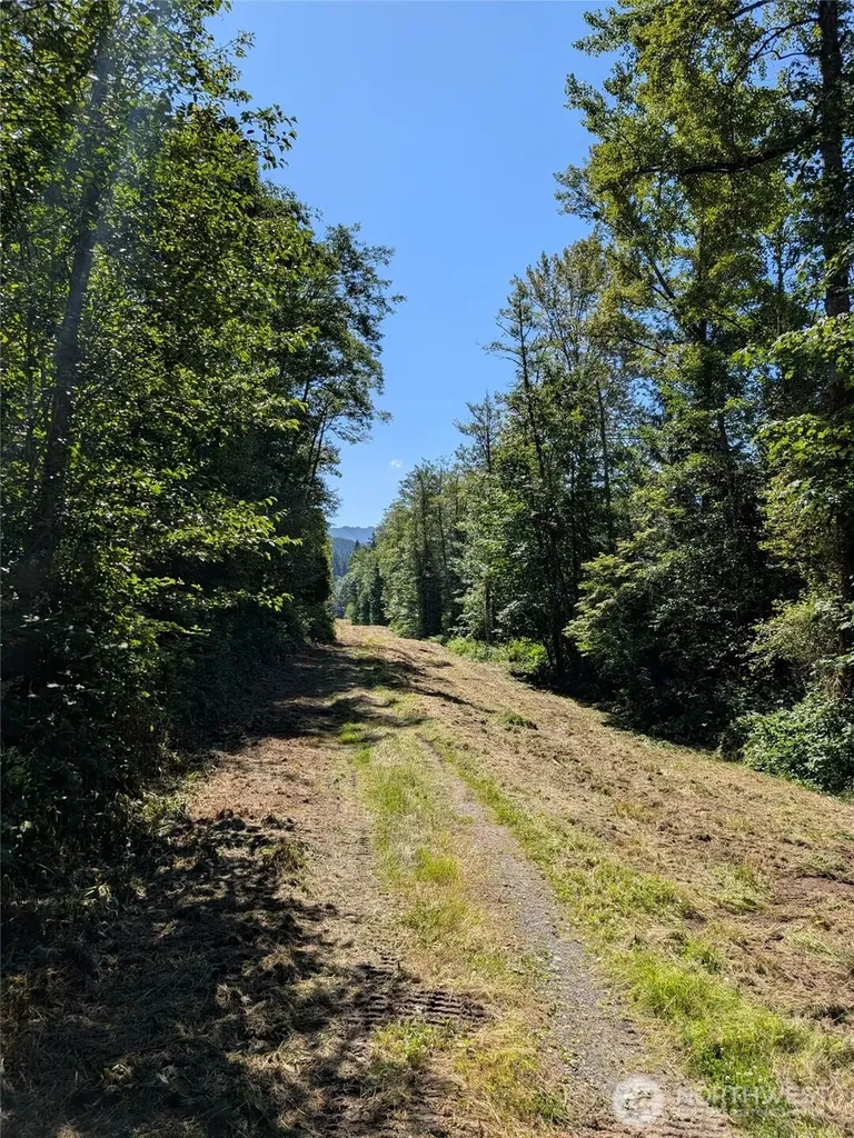 0 Xxxx Stoney Brook Lane Bellingham WA 98229