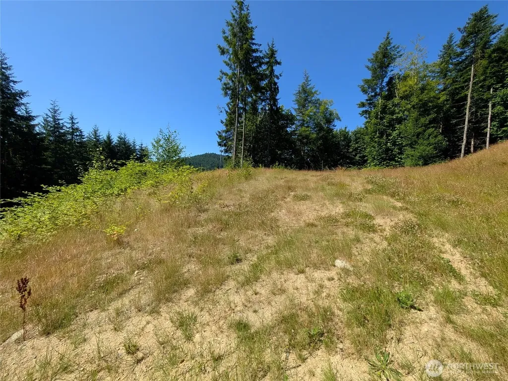 0 Xxxx Stoney Brook Lane Bellingham WA 98229