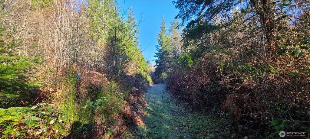 0 Cornwall Road NW Lakebay WA 98349