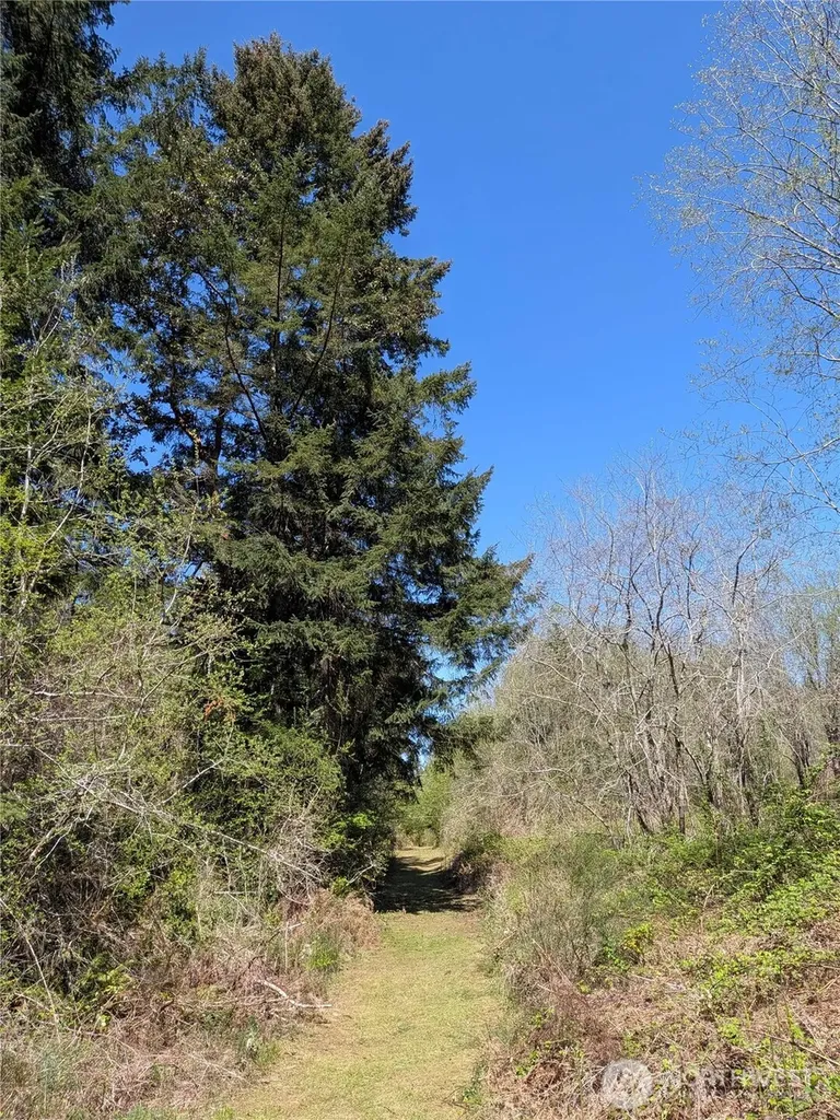 0 Cornwall Road NW Lakebay WA 98349