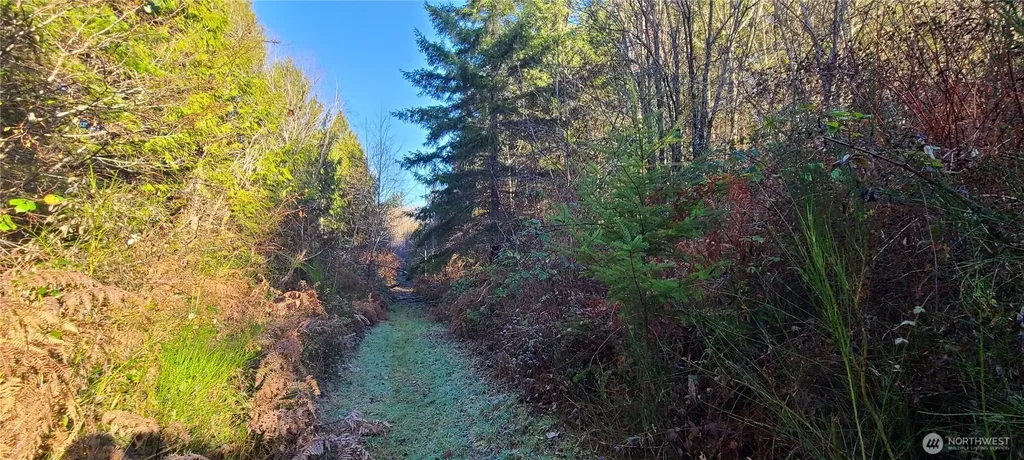 0 Cornwall Road NW Lakebay WA 98349