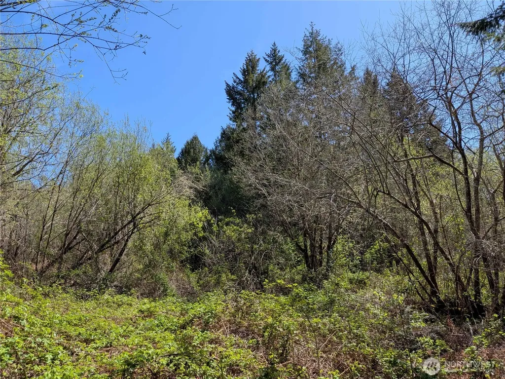 0 Cornwall Road NW Lakebay WA 98349