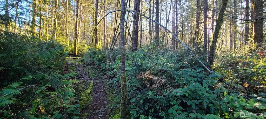 0 Cornwall Road NW Lakebay WA 98349
