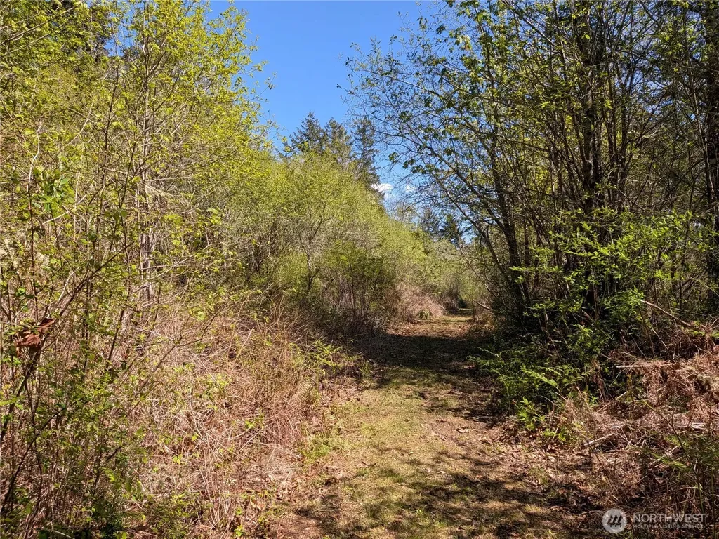 0 Cornwall Road NW Lakebay WA 98349