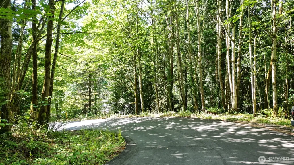 116 Xx 198th Ave SE Issaquah WA 98027
