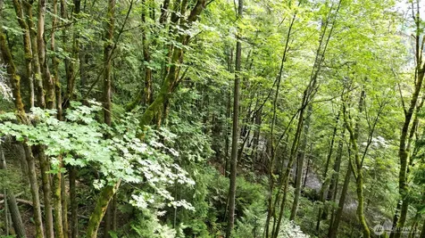116 Xx 198th Ave SE Issaquah WA 98027