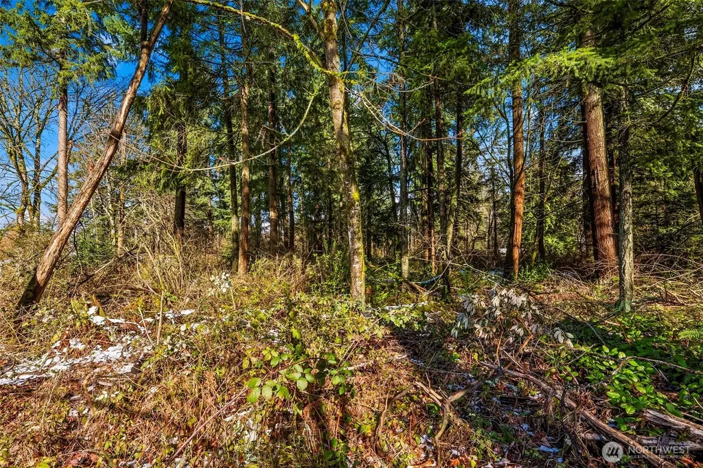 0 14th Avenue SW Federal Way WA 98023